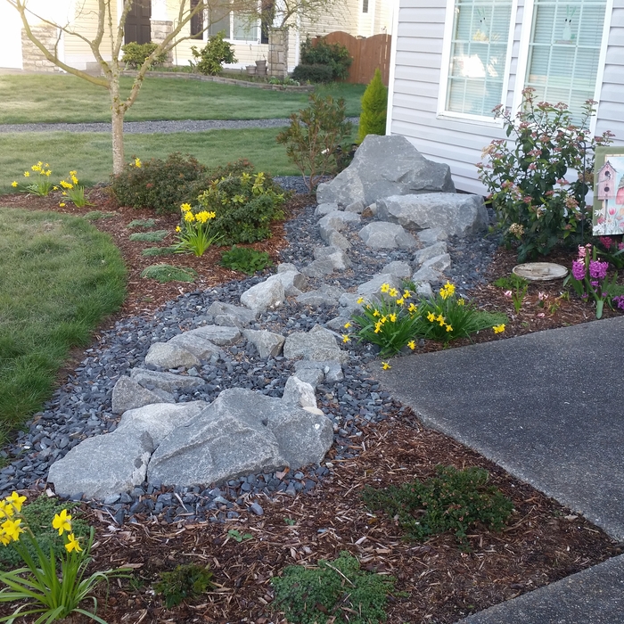 front yard simple landscape