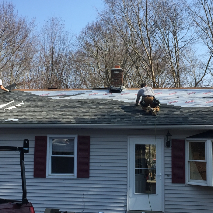 Strip shingle