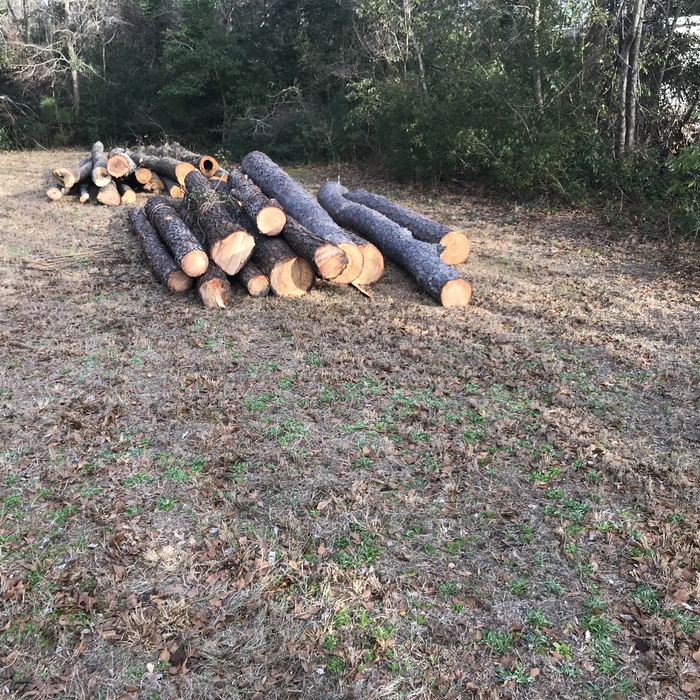 Logs