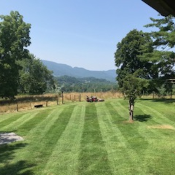 Lawn Services
