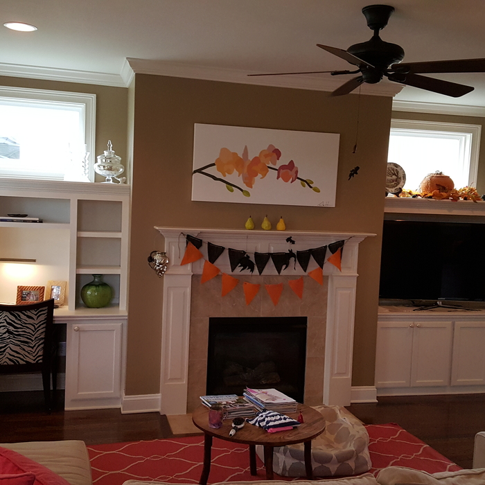 Built-in Bookcases