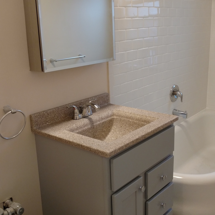 Evanston Bathroom Remodel