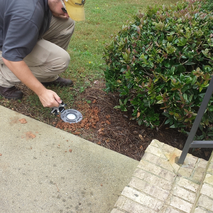 Termite Baiting System