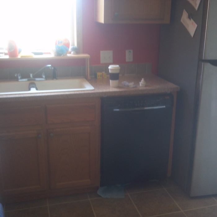  Dishwasher installed