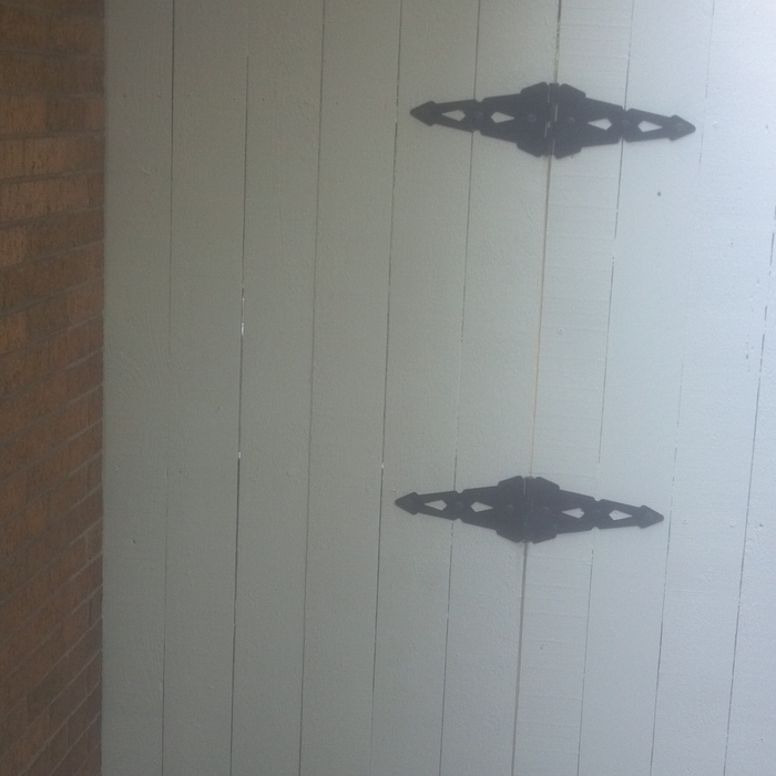 Drive gate hinges
