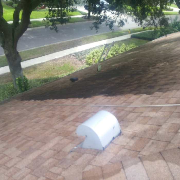 Pressure wash roof