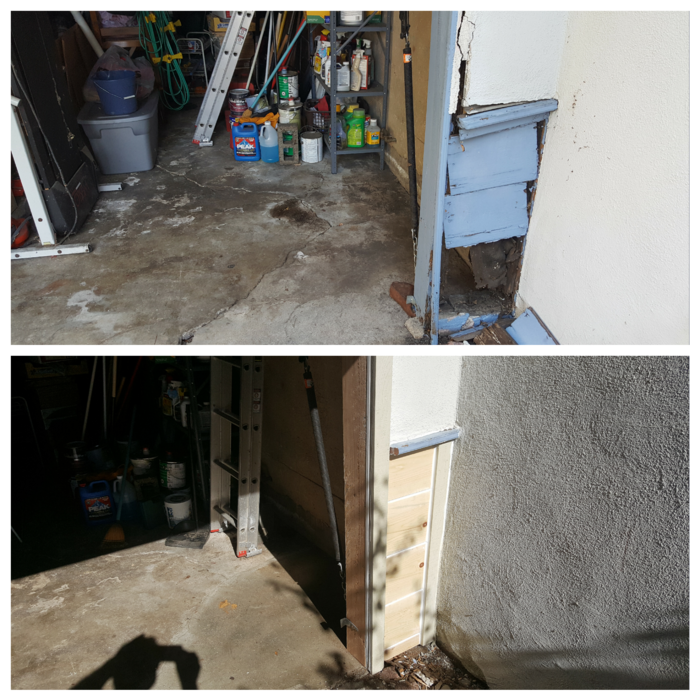 Dry rot repair