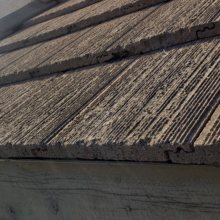 roof damage termite