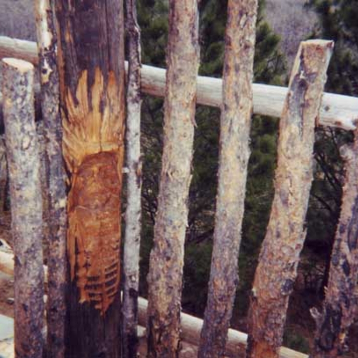 Carved Indian