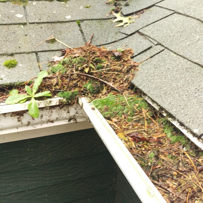 Potential Damage