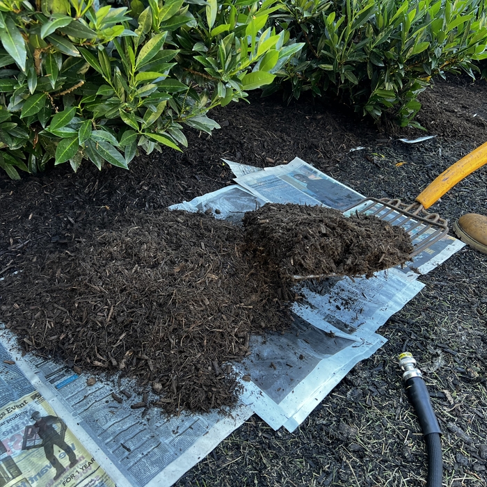 Alternative for Glysophate