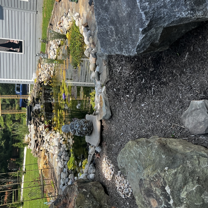 Koi Pond Landscaped