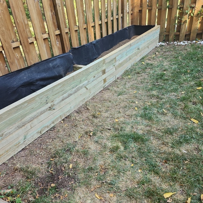 Raised Bed