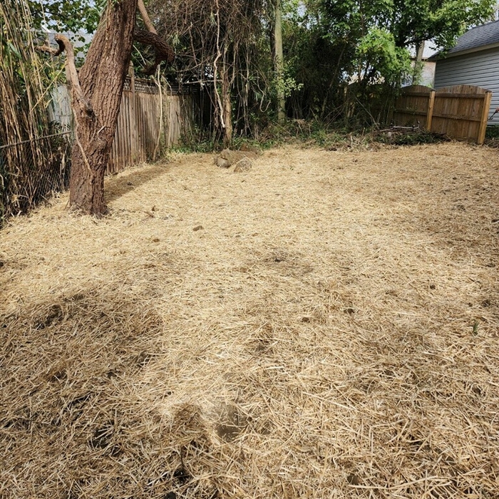 Straw/Overseed