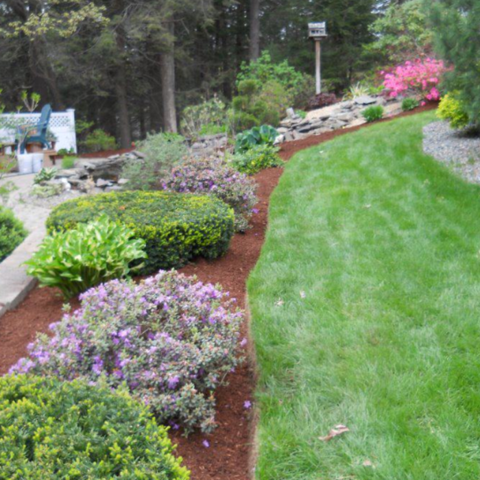 Red Mulch
