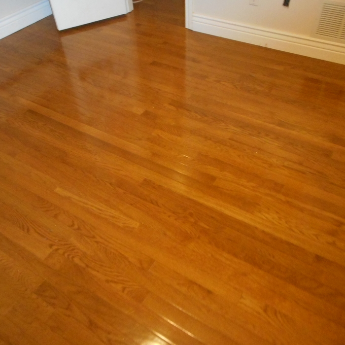 wood floors saved