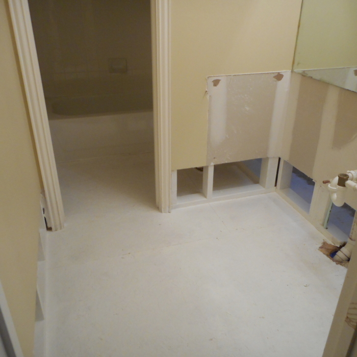 mold removed