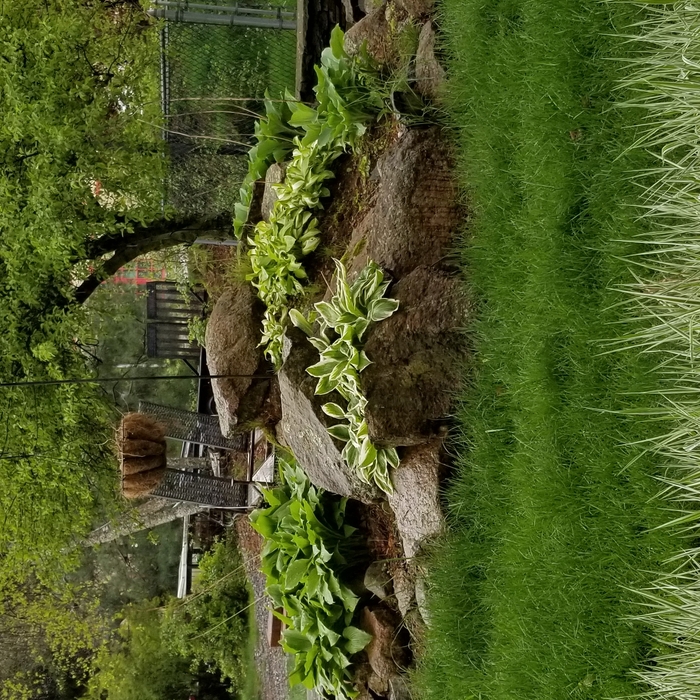 Customer Lawn