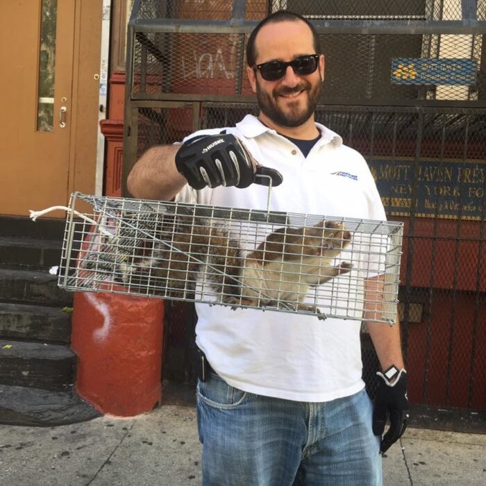 Catching Squirrels