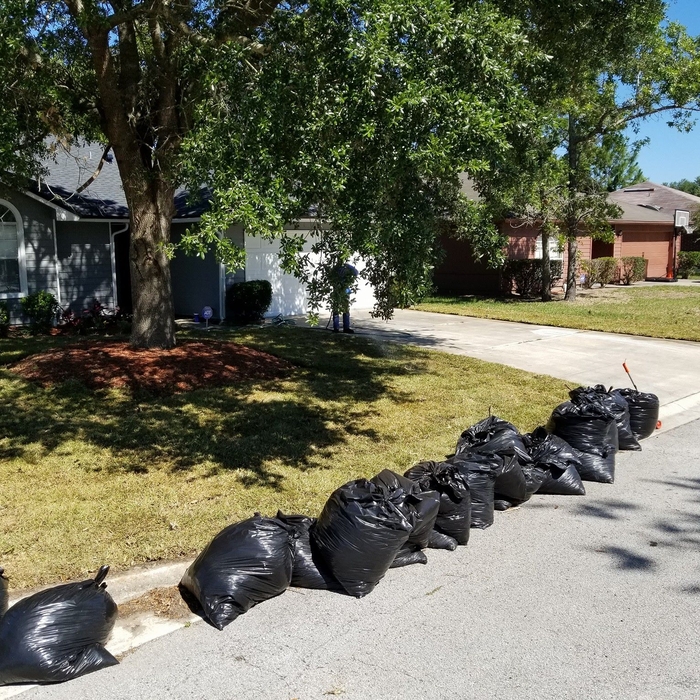 Yard clean up project