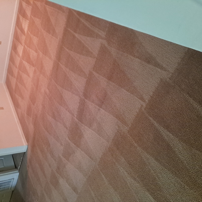 Carpet Cleaning