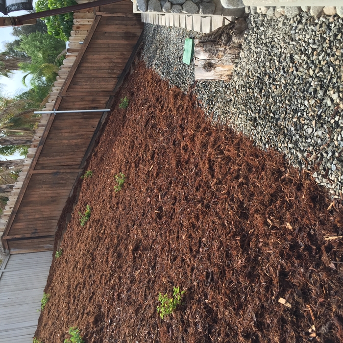 &quot;Gorilla Hair&quot; landscape mulch
