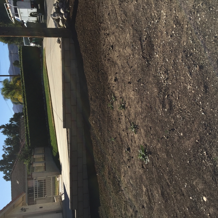 Retaining wall