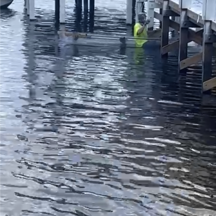 Painting the Dock by Boat