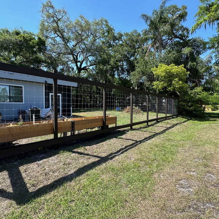 Back Yard Fence After Painting 3