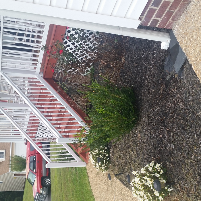 Mulch