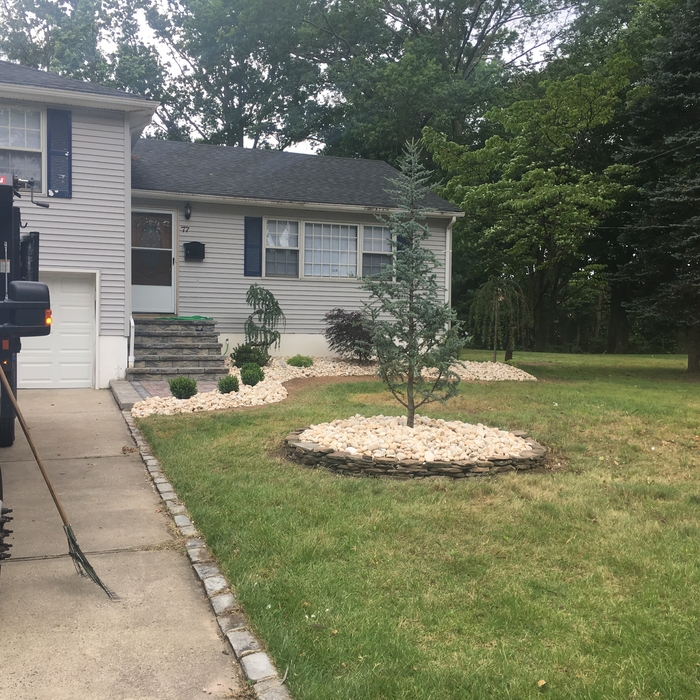 front yard