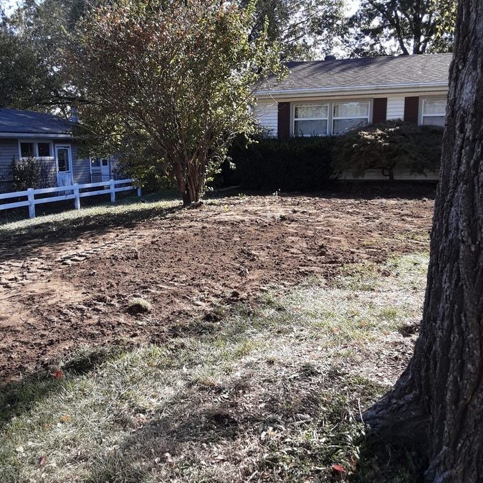 After Sewer repair
