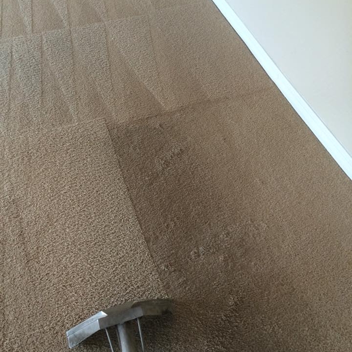 Carpet clean moveout