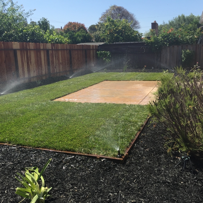Concrete patio and grass