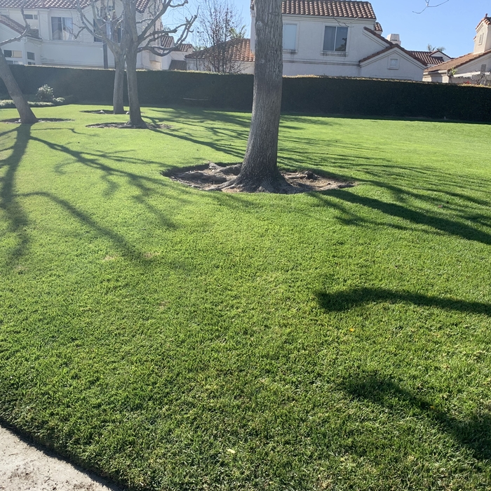 Commercial maintenance
