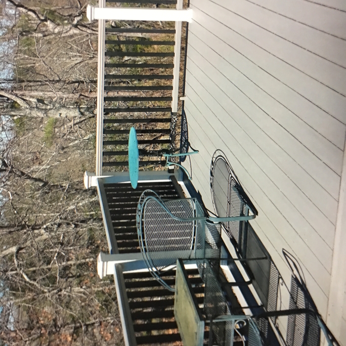 Trex deck