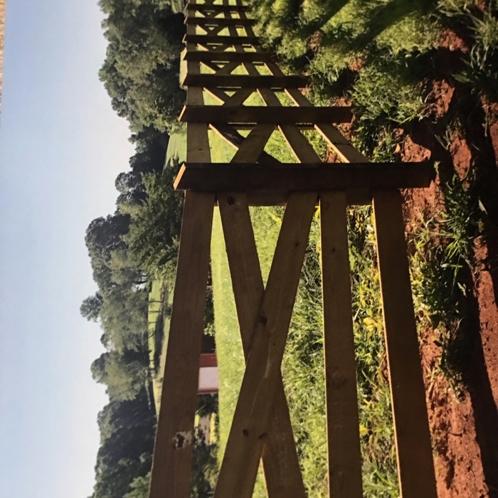 Cross buck fence