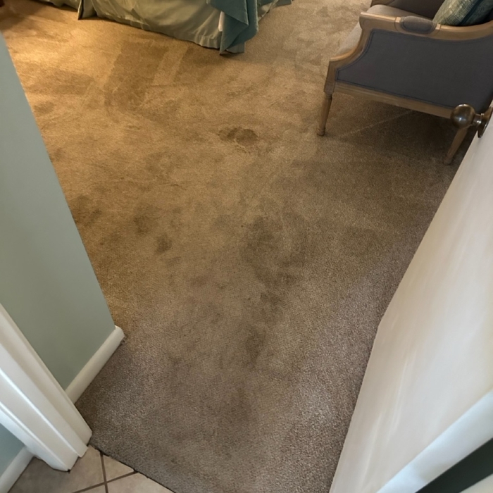carpet cleaning