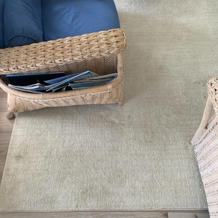 Rug cleaning