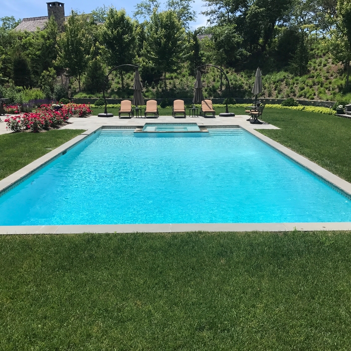 Gunite pool and spa