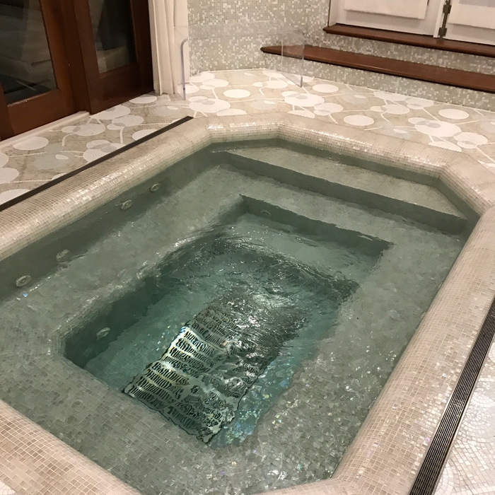 Indoor gunite spa
