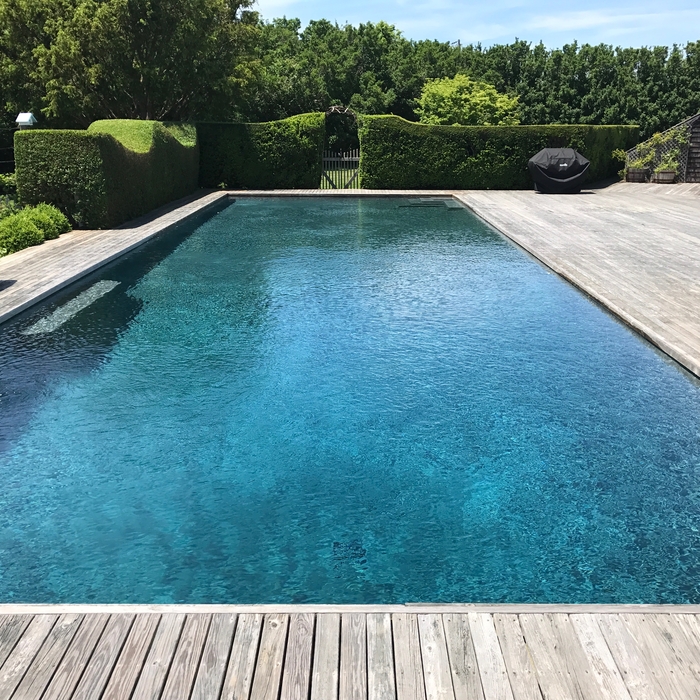 Large gunite pool