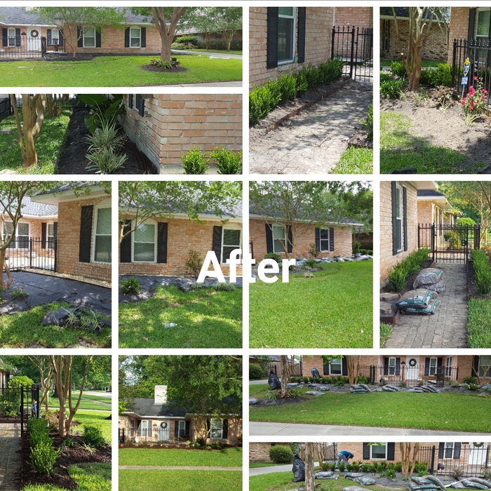 Landscape design and installation