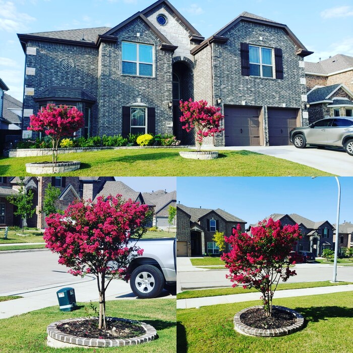 Landscape design and installation