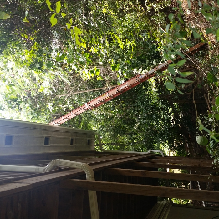 To the roof!