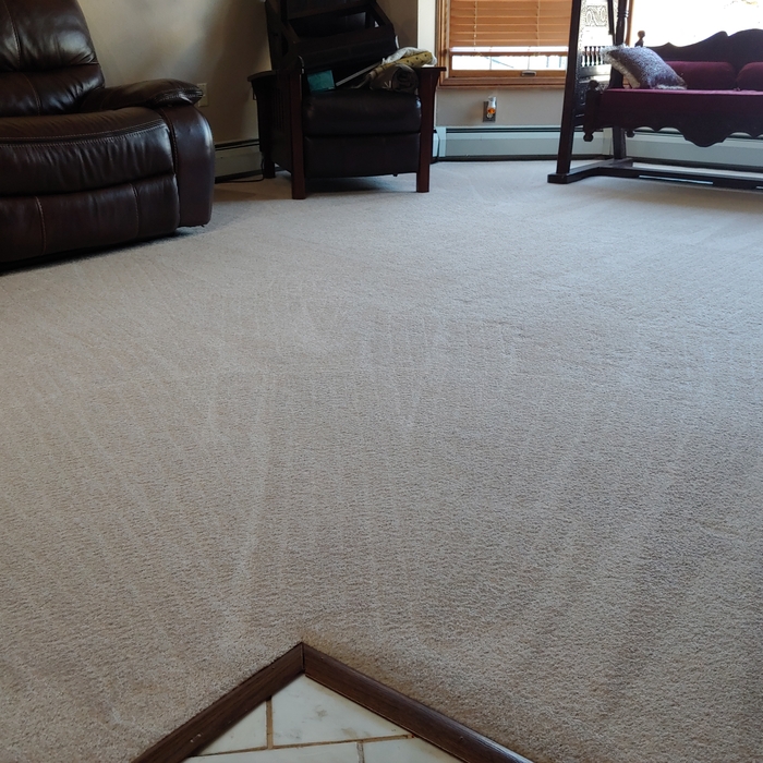 Carpet Cleaning finished product