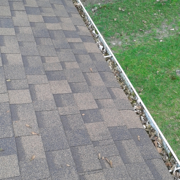 Gutter Clean