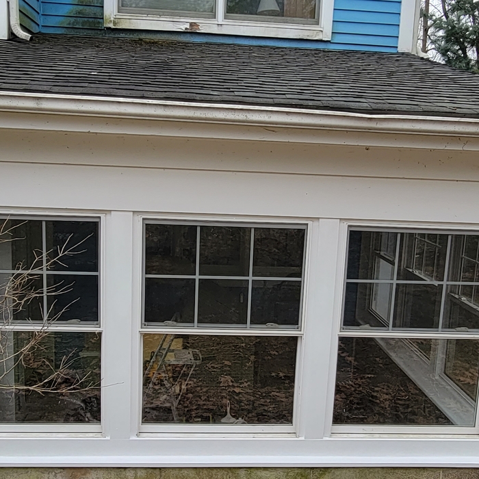 Rotted Wood Project
