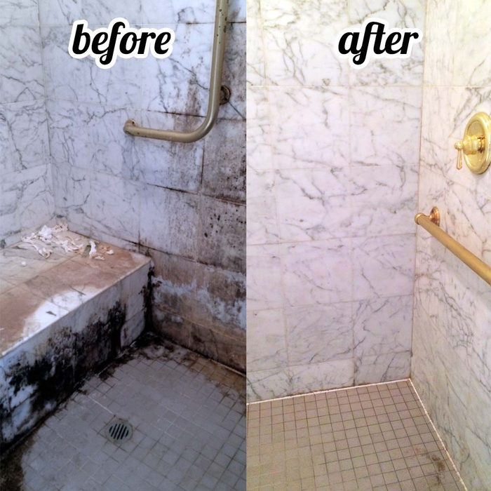 Mold/Mildew DEEP Cleaning Project