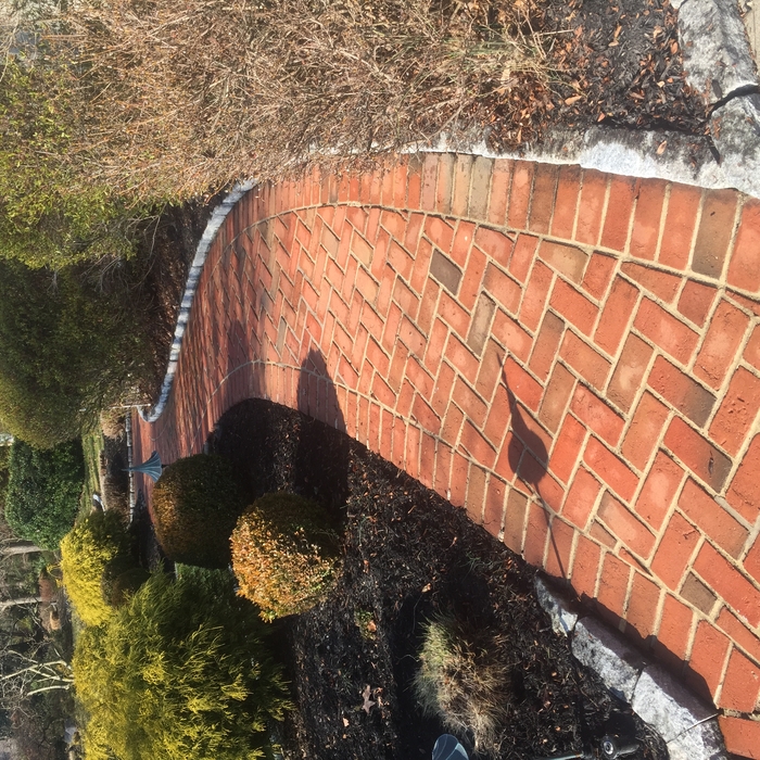 Brick walkway